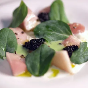 Hamachi, burrata, oyster leaf and caviar