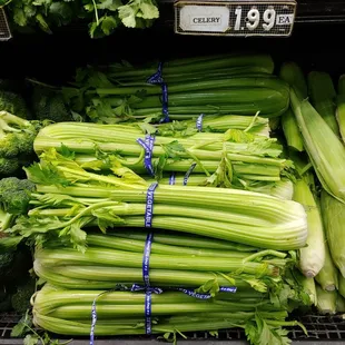 a bunch of celery