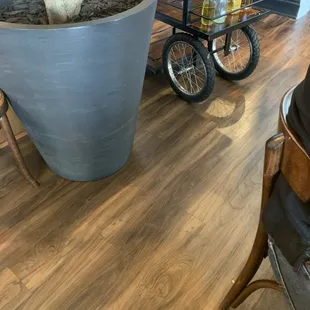 Pathway where the cart passed and hit my husband twice.