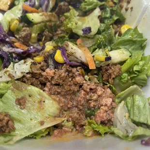 Taco Salad with uncooked meat.