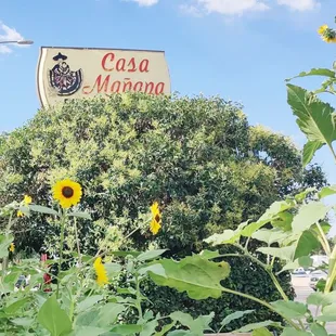 sunflowers in front of a sign
