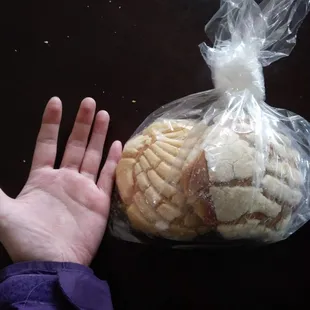Two conchas for $1, with my hand for comparison of size