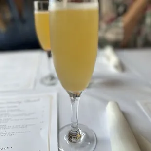 Mimosa