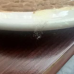 Their was hair on the food plate