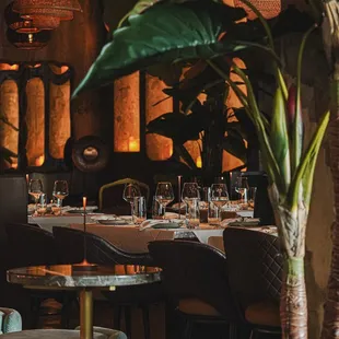 Casa Matilda - Restaurant &amp; Cocktail Bar in Miami Beach