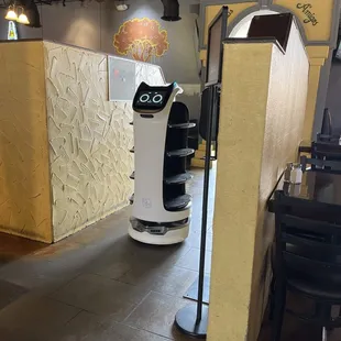 Robot with music