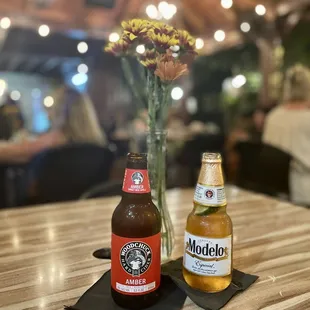 Woodchuck Hard Cider and Modelo