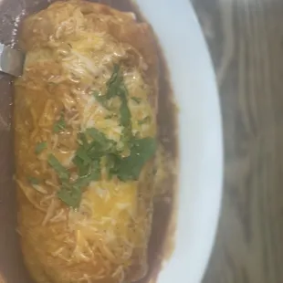 Wet Meat Burrito