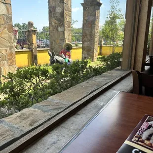 a view from a restaurant window