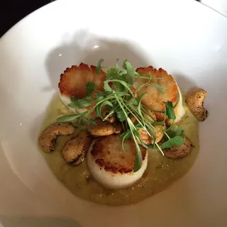 Scallops with Serrano Pepper Green Curry & Minted Cashews