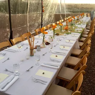 A special Halloween dinner setting for The School of Wonder with Barbara Groth.