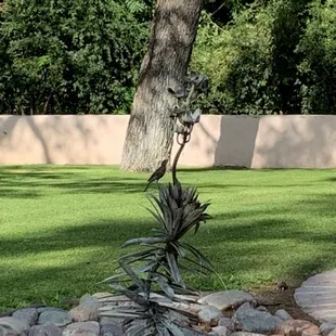 Fountain near back patio.