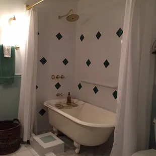 White-winged Dove Suite shower/tub combo with grab bars and built in step.