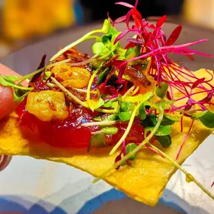 a hand holding a piece of food