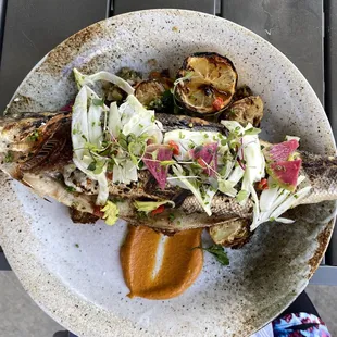 The fish special is quite delicious! Watch for bones, but this grilled and light entree is probably my favorite in town!