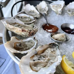 tom&apos;s cove oysters