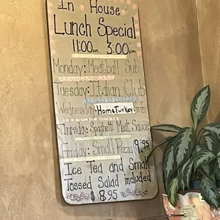 Daily Lunch Specials