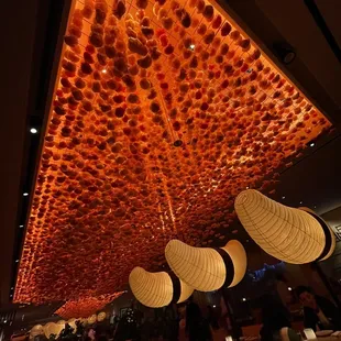 Incredible ceiling