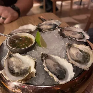 WEST COAST OYSTERS