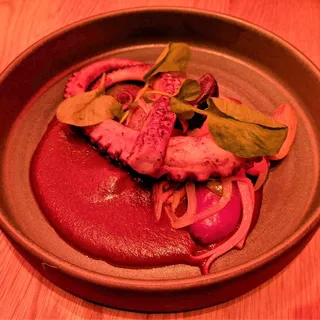 OCTOPUS