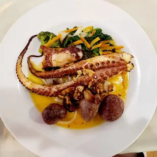 Octopus