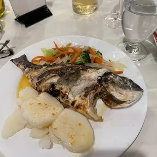 Sea Bream