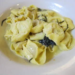 WINNER! Pumpkin Tortelloni Pasta with Butter &amp; Sage Sauce