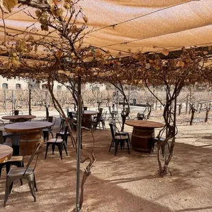 Vineyard sitting area