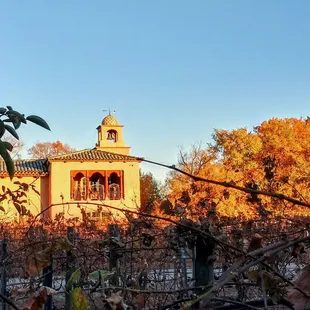 Loving the sunlight for REAL!!!