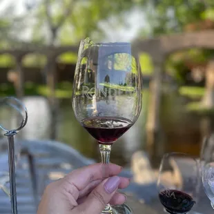 a hand holding a glass of wine