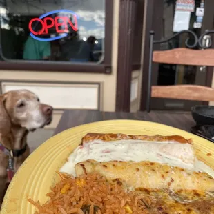 a plate of mexican food with a dog in the background