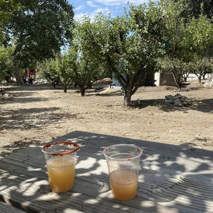 Back trail near swing