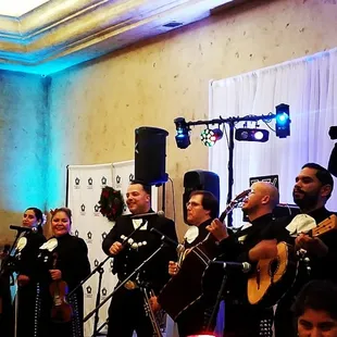 Live Mariachi