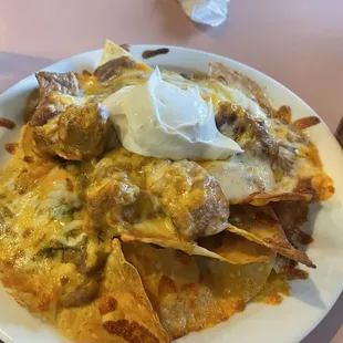 Nachos with no toppings and mystery meat.......