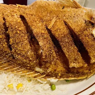 Mojarra Frita - bigger than the plate!! So crispy &amp; yummy