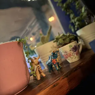 a variety of plants on a shelf