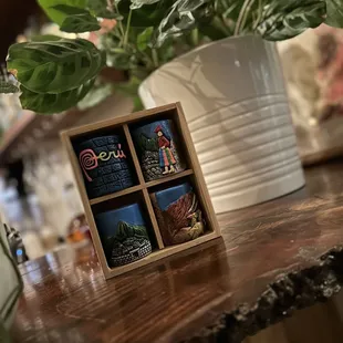 a plant in a wooden box