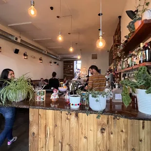 people sitting at the bar