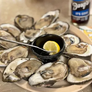 Best oysters in the city!