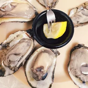 Fresh Oysters