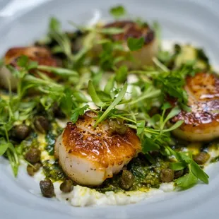 Scallops|Sautéed scallops, fried capers, ricotta, garlic butter.
