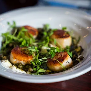 Scallops|Sautéed scallops, fried capers, ricotta, garlic butter.