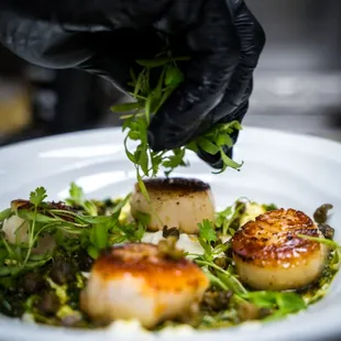 Scallops | Sautéed scallops, fried capers, ricotta, garlic butter.