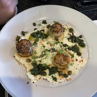 Scallops