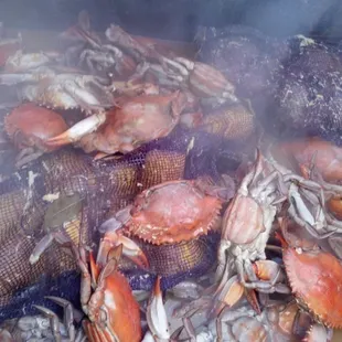 Hot Boiled Crabs