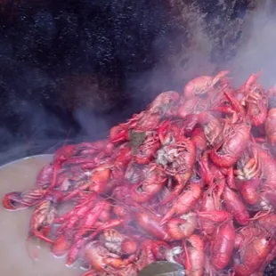 Hot Boiled Crawfish