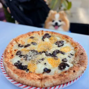 Funghi: Mushrooms, mozzarella, shaved truffle, parmesan wafers, hazelnuts | $22