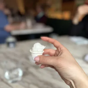 Sorbetto (complimentary)