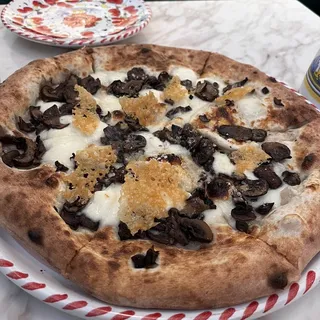 Funghi