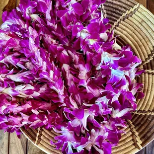 Leis